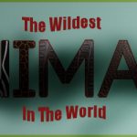 the wildest animal in the world