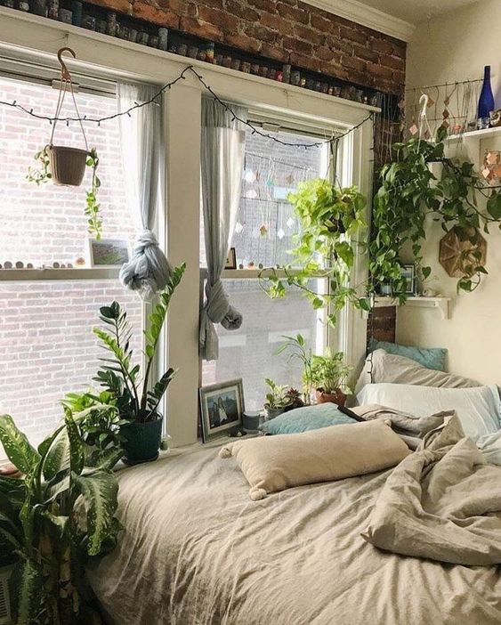 plants for bedroom